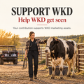 Support WKD — Pant $54 No Product